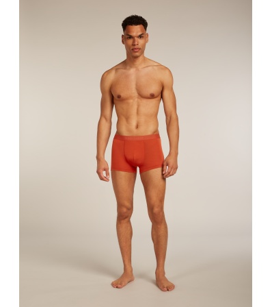 Бельо Icebreaker Merino Blend 125 Cool-Lite Anatomica Trunks
