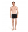 Боксерки Icebreaker Merino 150 Anatomica Boxers Ski Day Winter 2025