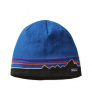 Шапка Patagonia Beanie Hat